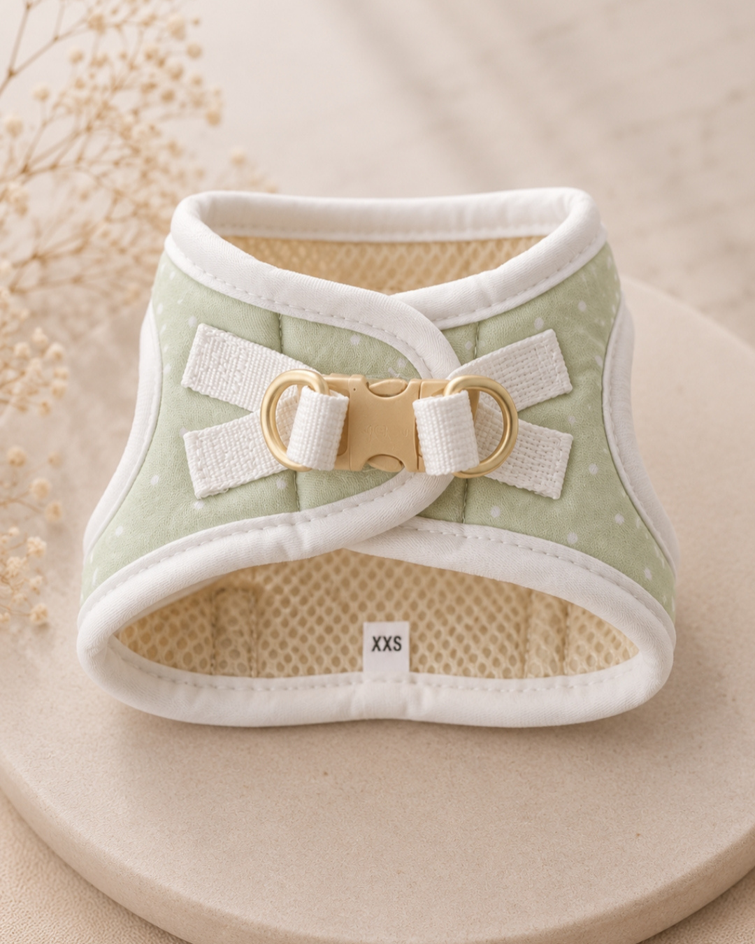 Arnés Le Petit Matcha