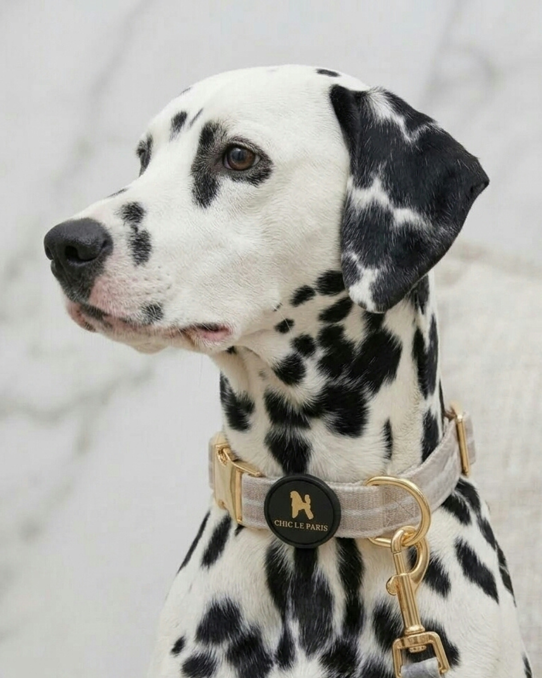 Set de Paseo Vichy Amour
