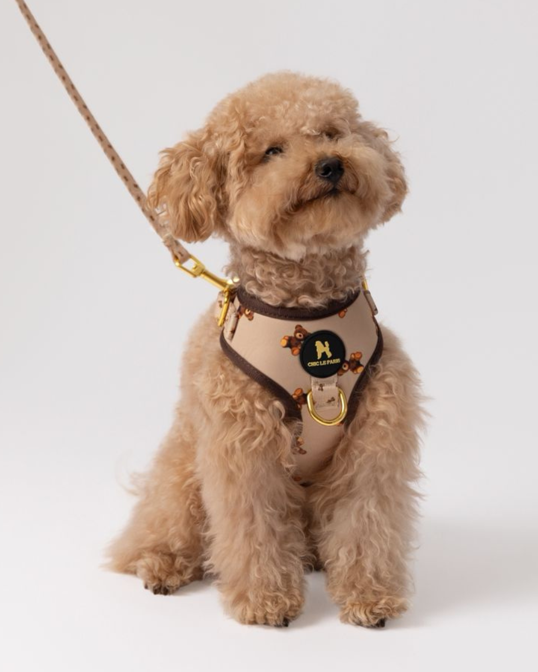 Set Esencial Teddy Brown