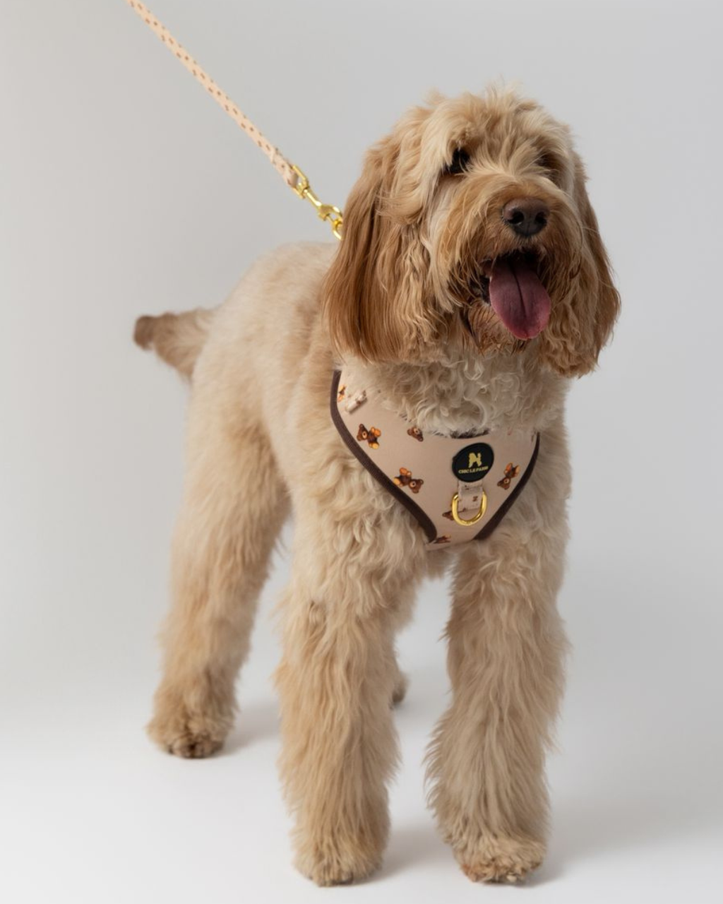 Set Esencial Teddy Brown