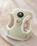 Arnés Le Petit Matcha