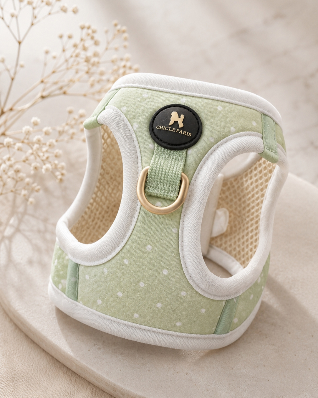 Arnés Le Petit Matcha