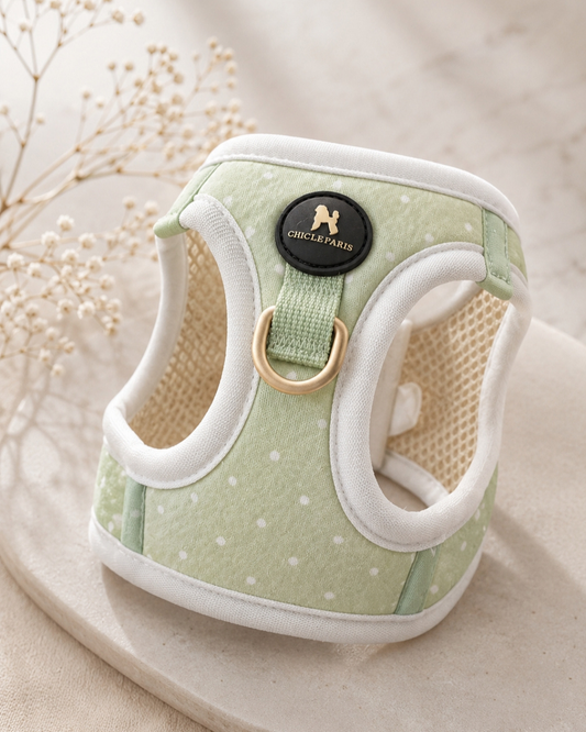 Arnés Le Petit Matcha