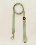 Correa Le Petit Matcha