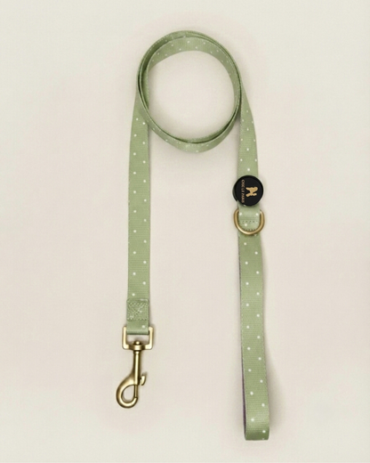 Correa Le Petit Matcha