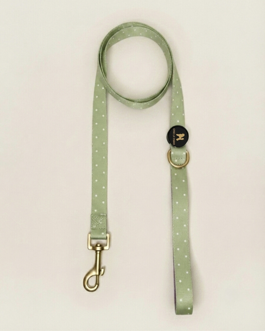 Correa Le Petit Matcha