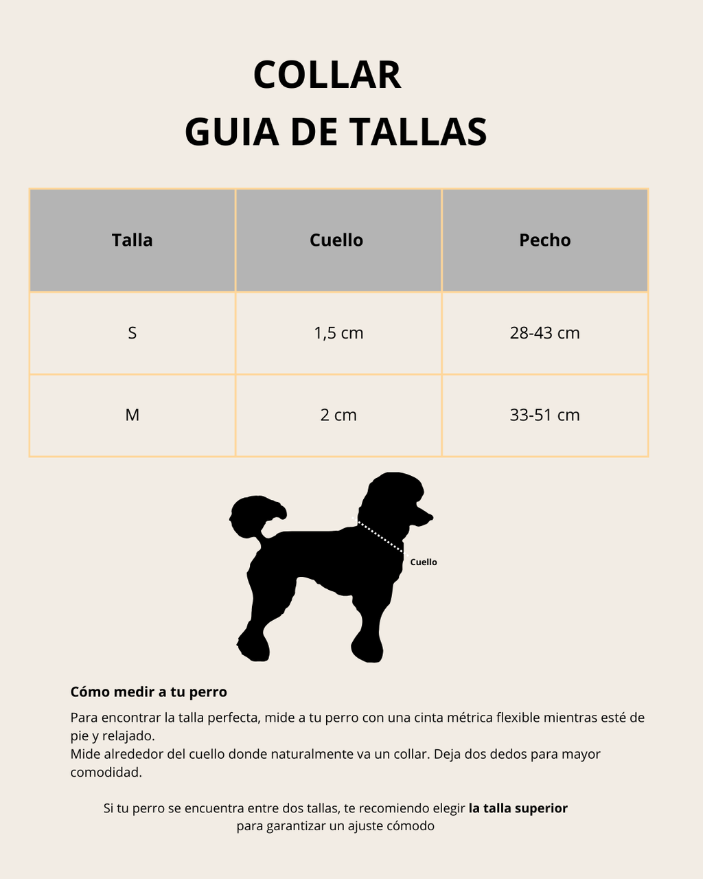 Set de Paseo Teddy Brown