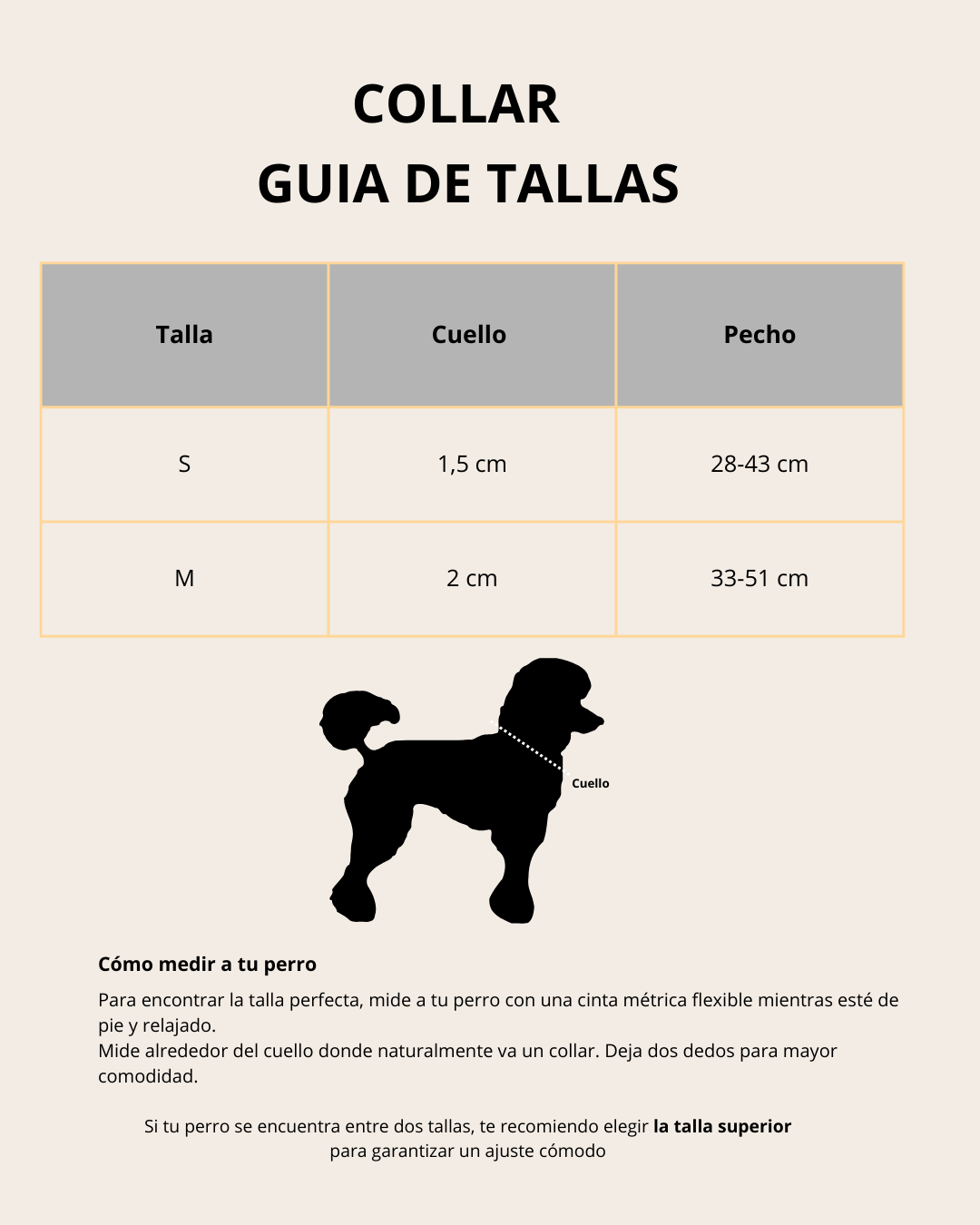 Set de Paseo Teddy Brown
