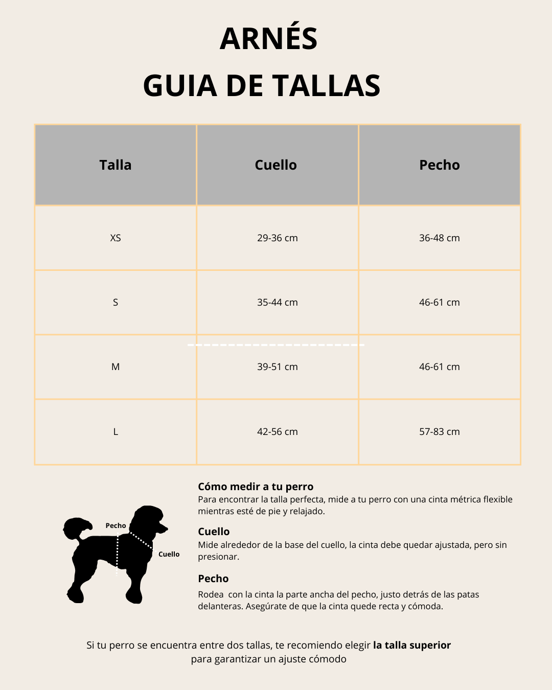 Set Esencial Teddy Brown